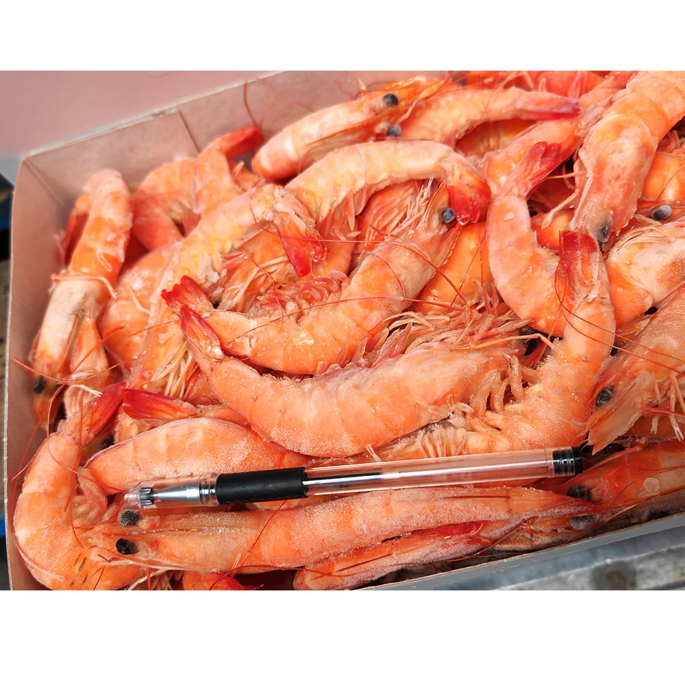NAQUA Red Sea Premium Frozen Whole Cooked Vannamei Shrimp (Size 30/40) – 2kg Box - Whole Cooked Prawns - Image 5