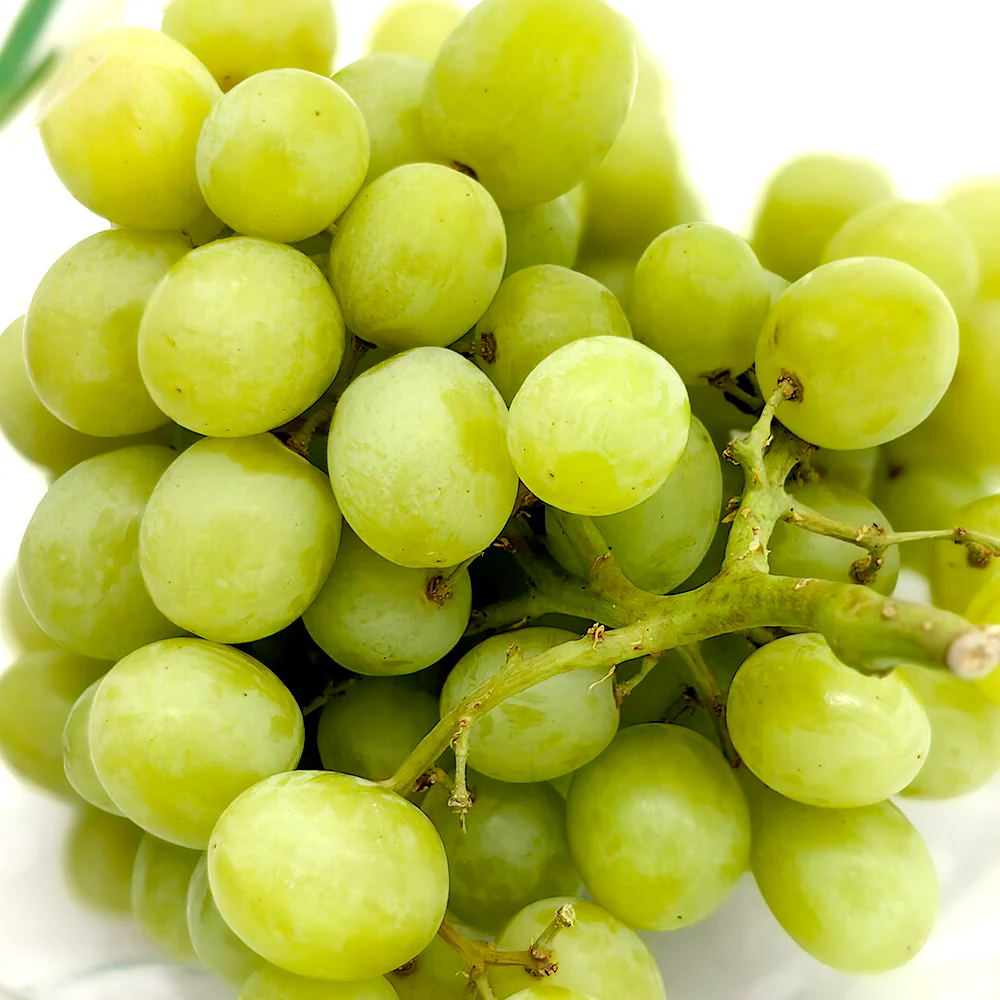 American Seedless Green Grapes 900g - Image 3