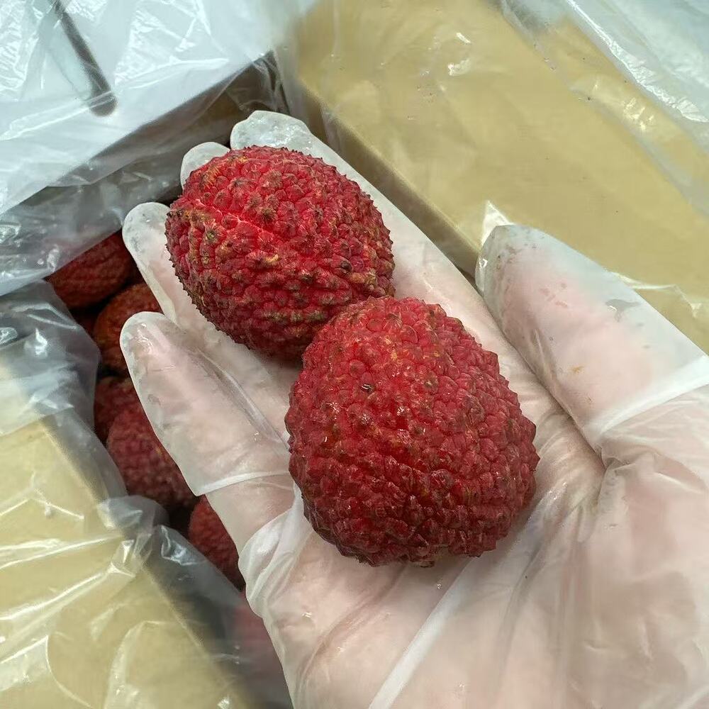 Seedless Lychee Gift Box XL ~2kg - Image 4
