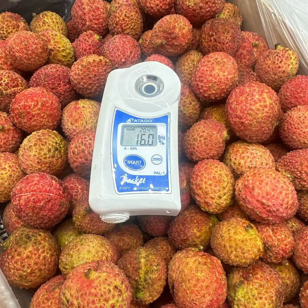 Seedless Lychees 500g - Image 2