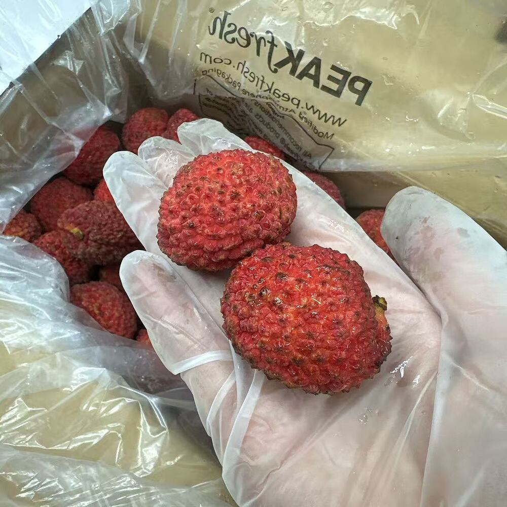 Seedless Lychees Gift Box – 2kg (Whole Carton) - Image 2