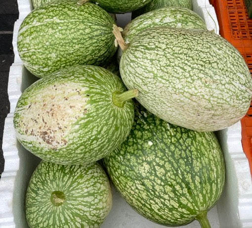 Shark Fin Melon - 1 Piece, 4kg - Image 3
