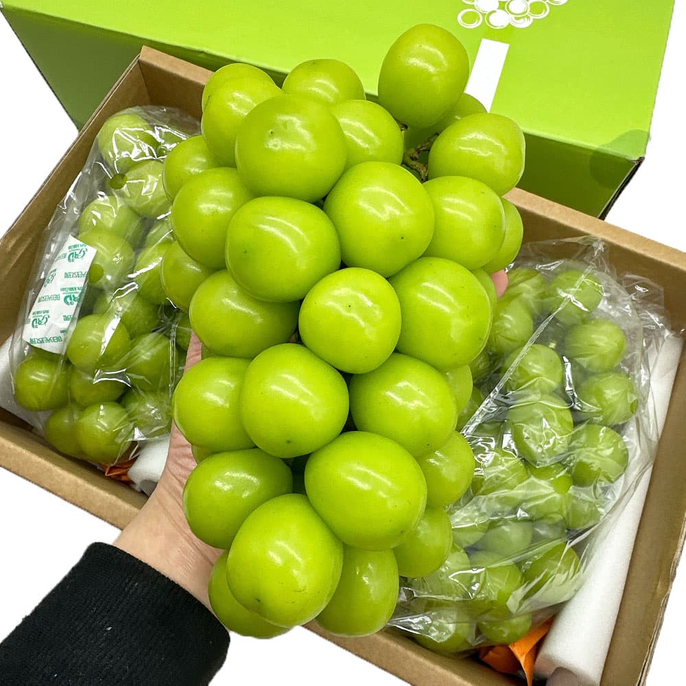 Shine Muscat Grapes – Air-Freighted from China, Box 2.5kg - Sunshine Rose Seedless Green Grapes - Image 2