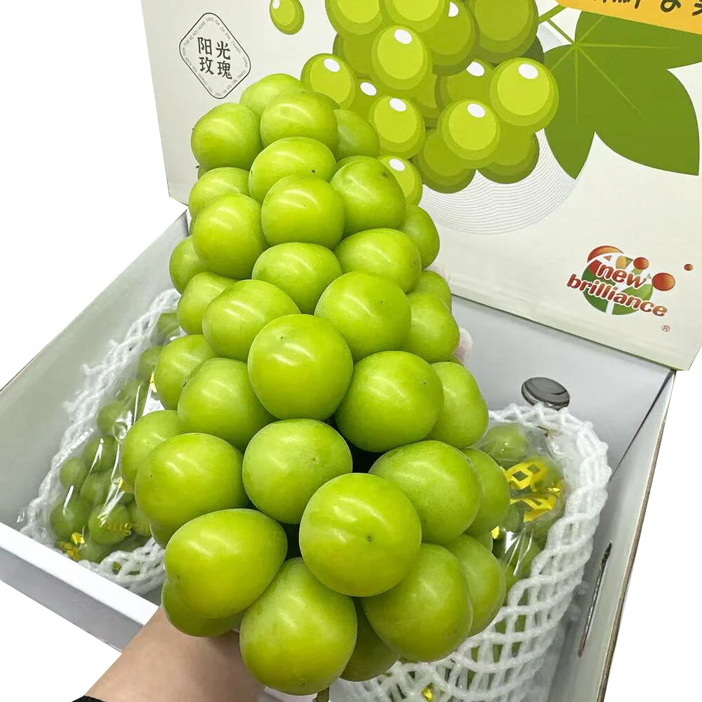 Shine Muscat Grapes Gift Box (China) – 3kg - Seedless, No-Peel