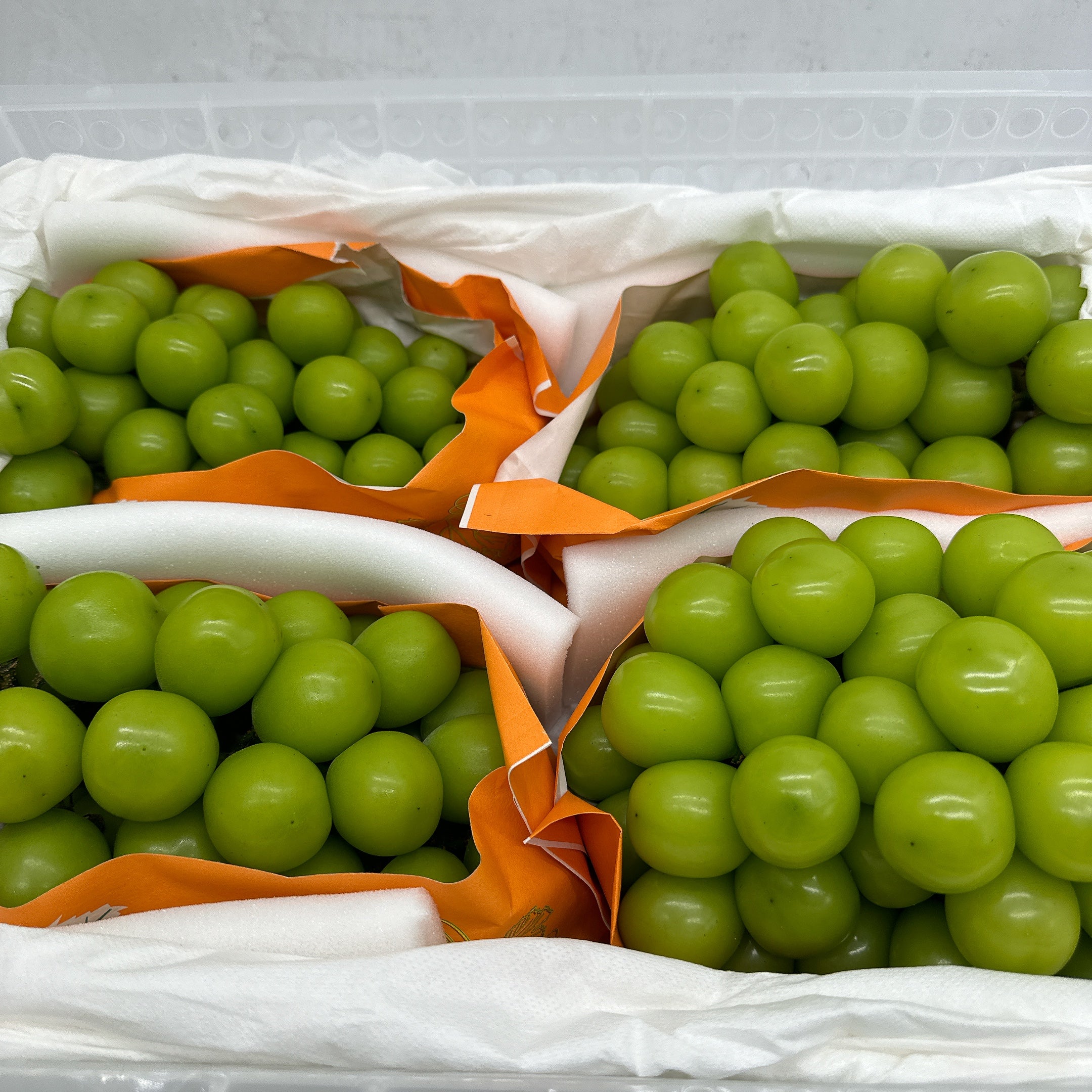 Shine Muscat Grapes – Seedless, No Need to Peel – 1 Bunch, 1kg - Image 2