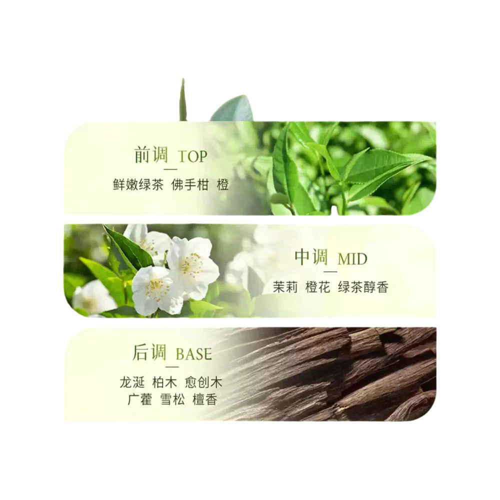 Shiseido Kuyura Beauty Skin Body Wash - Japanese Tea Garden Scent, 550ml - Image 3