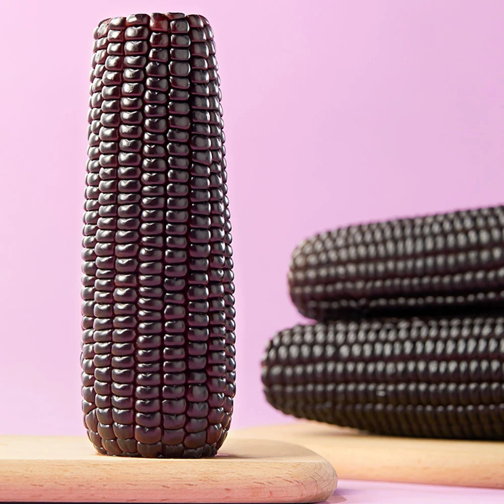 ShiYueDaoTian Black Glutinous Corn - 200g - Image 4