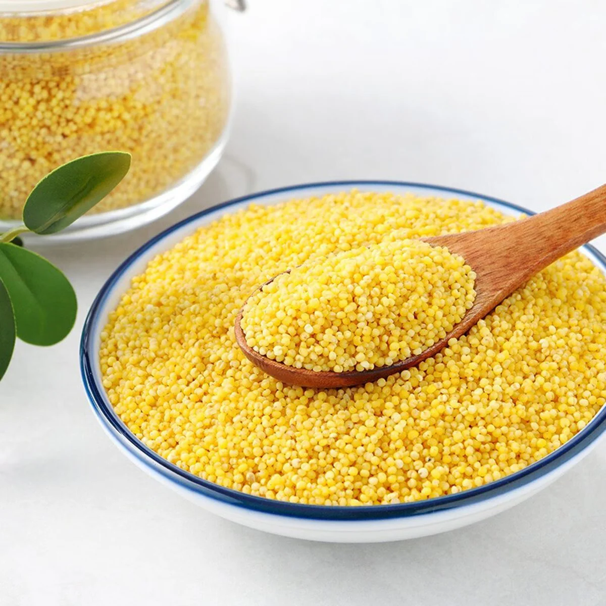 Shiyue Daotian Shanxi Yellow Millet 500g - Foxtail Millet - Image 4