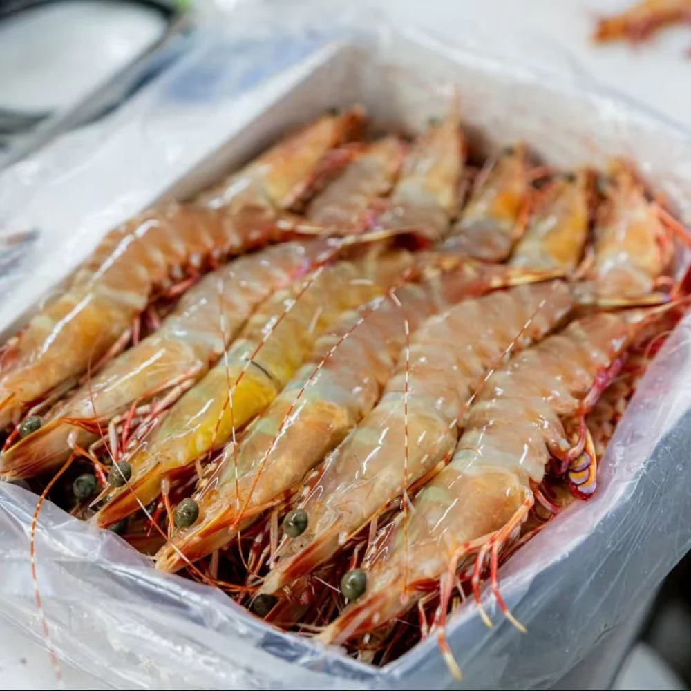 Skull Island Ocean-Caught Tiger Prawns U9/12 – Frozen 3kg - Image 2