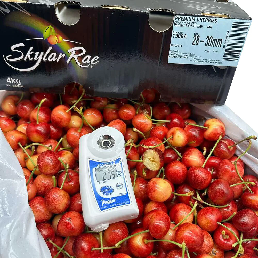 Skylar Rae Premium White Cherries 28–30mm 500g - Image 2
