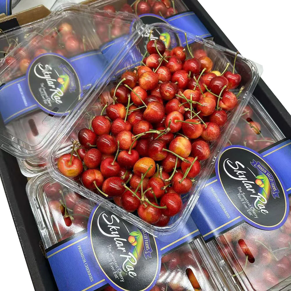 Skylar Rae White Cherries 26–28mm – Box of 1kg