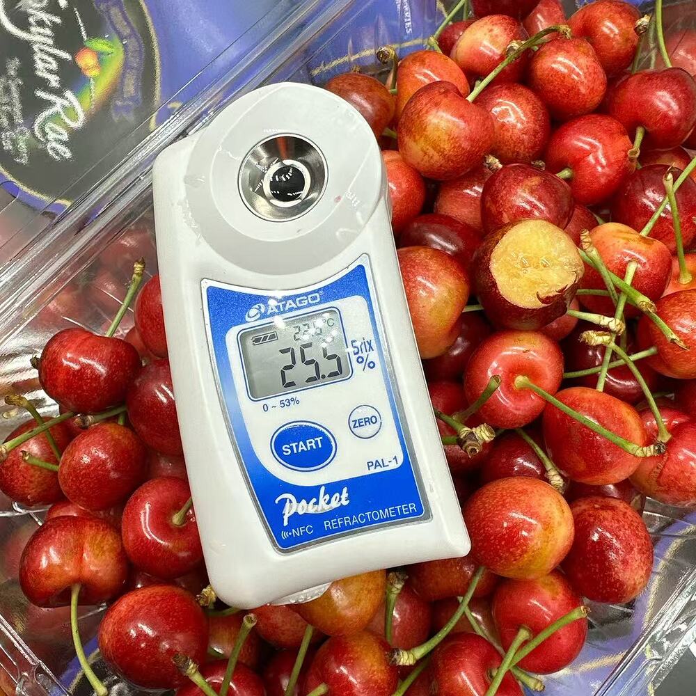 Skylar Rae White Cherries 26–28mm – Box of 1kg - Image 2