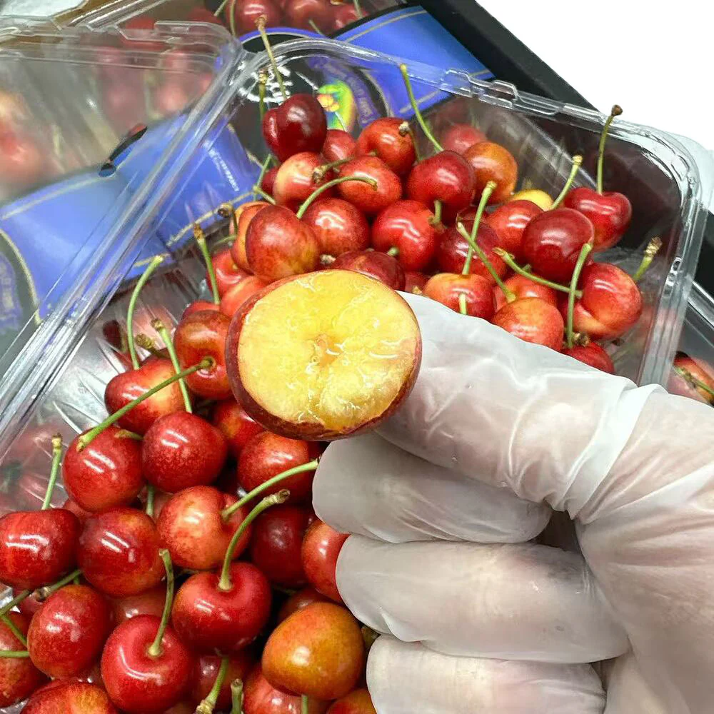 Skylar Rae White Cherries 26–28mm – Box of 1kg - Image 4