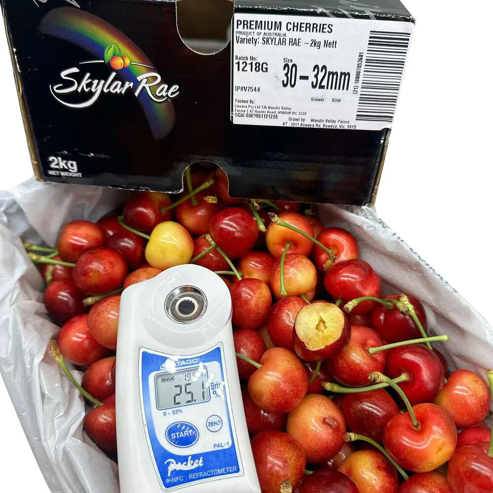 Skylar Rae White Cherries 30–32mm Gift Box – 2kg - Image 2