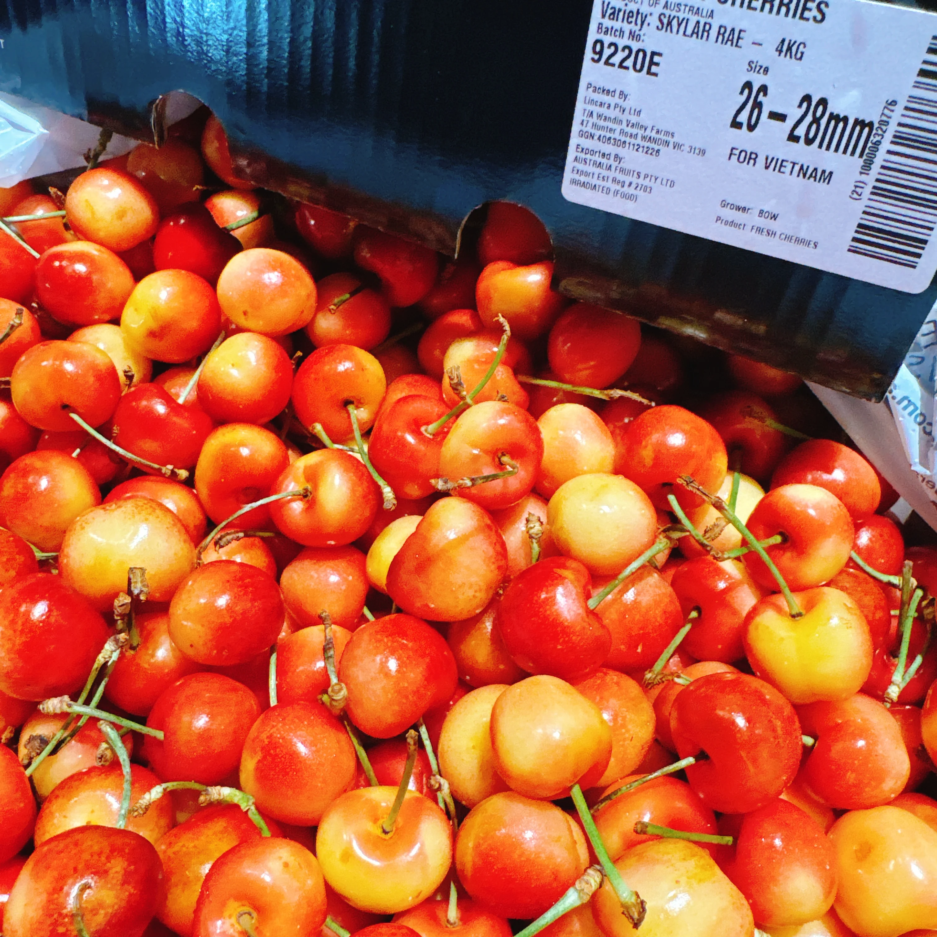 Skylare Rae White Cherries 26-28mm - 500g - Image 2