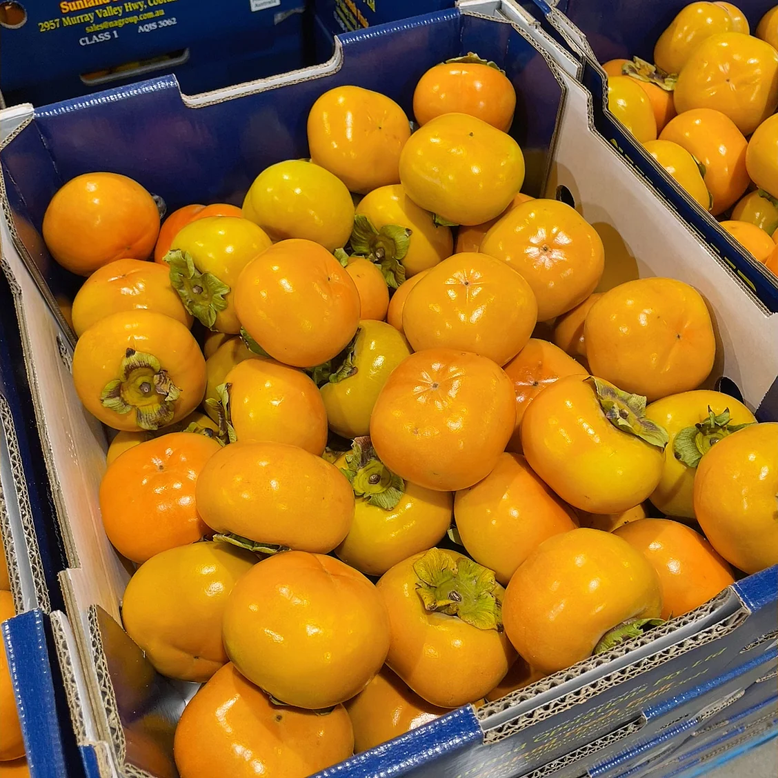 Small Firm Persimmons - 1kg - Image 2