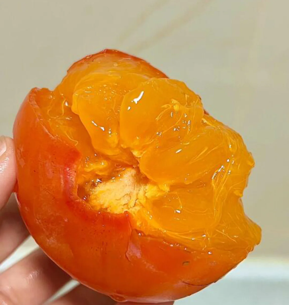 Soft Persimmon - 1 Piece - Image 2