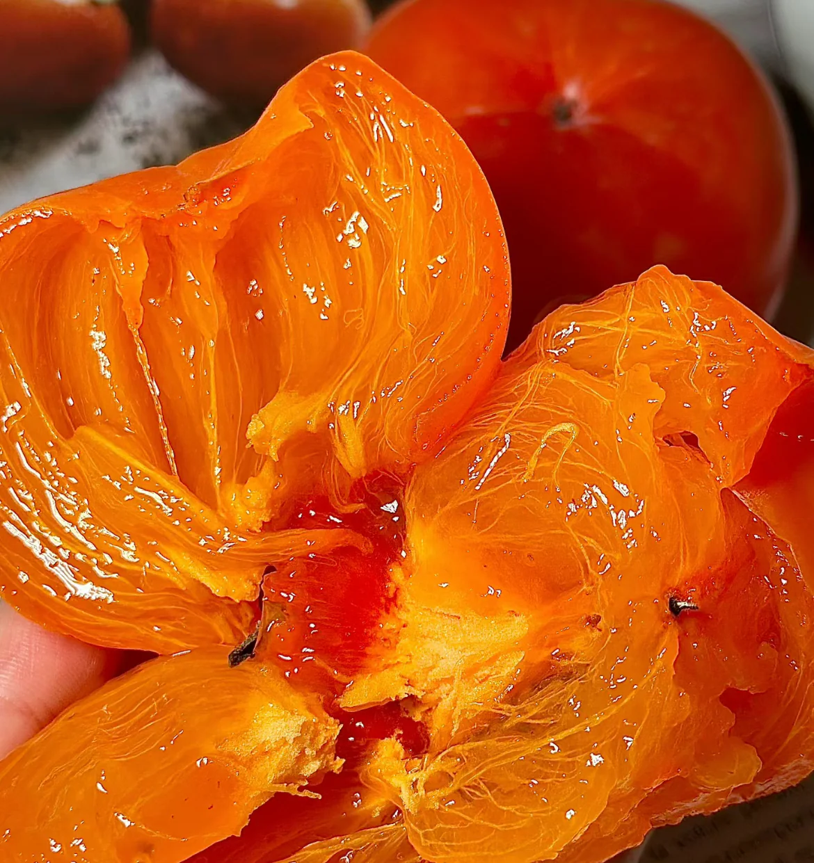 Soft Persimmon - 1 Piece - Image 3