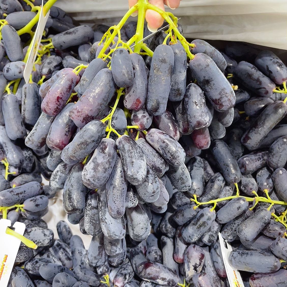 Solarfresh Premium Black Finger Grapes - 1kg - Image 2