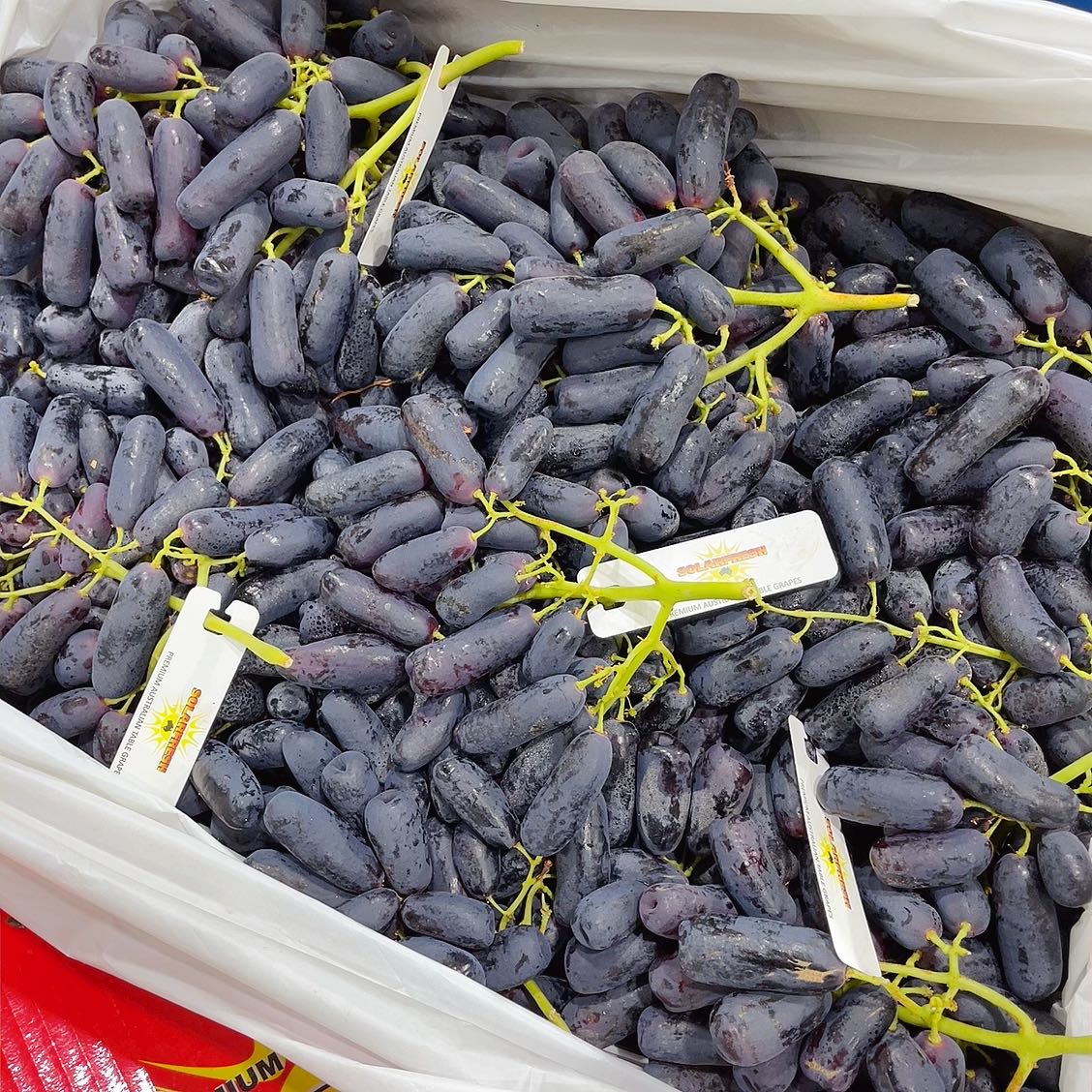 Solarfresh Premium Black Finger Grapes - 1kg - Image 3