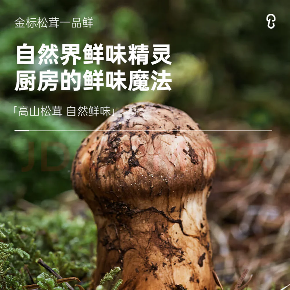 Songxianxian Gold Label Matsutake Essence - 1L - Image 3