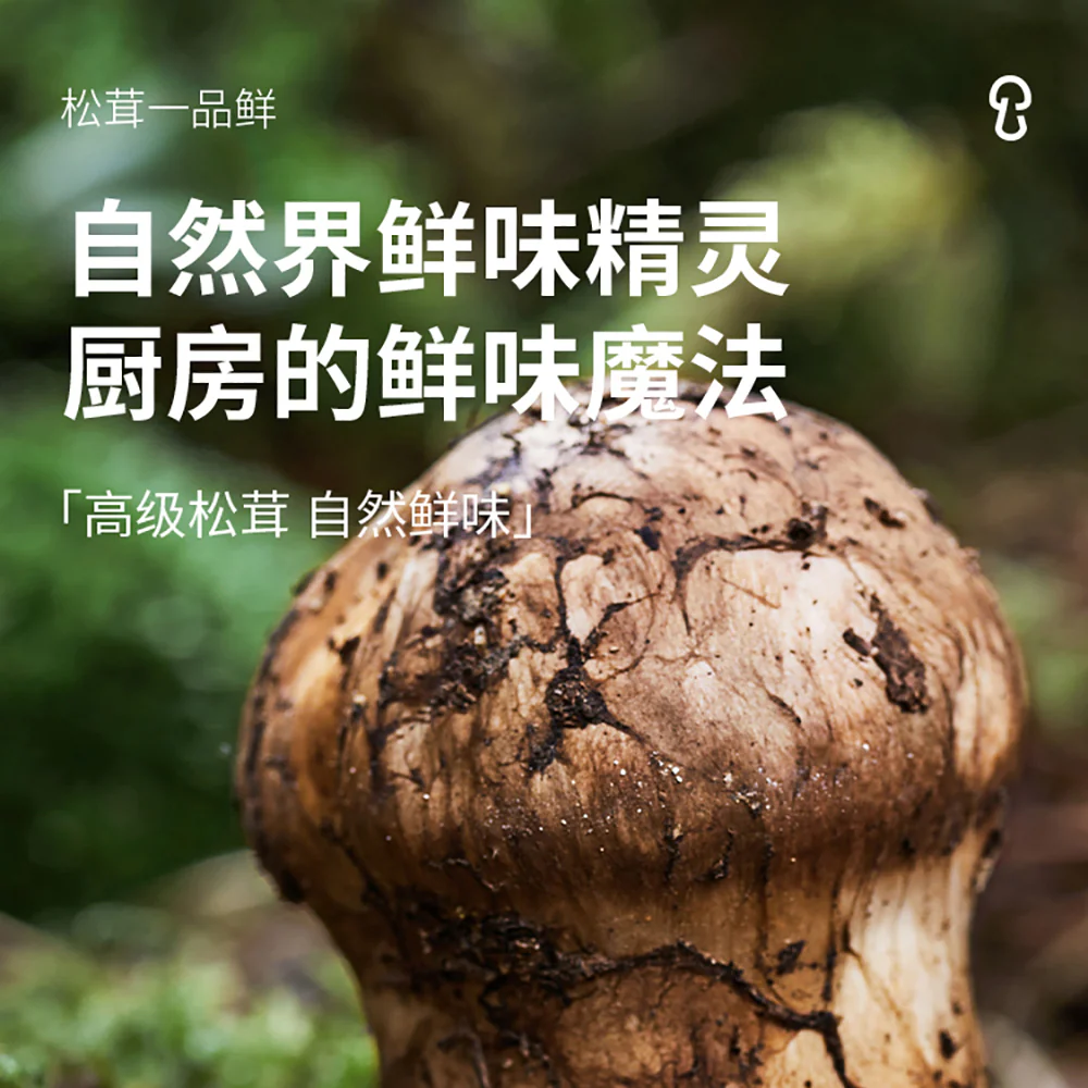 Songxianxian Matsutake Premium Soy Sauce - 285g - Image 3