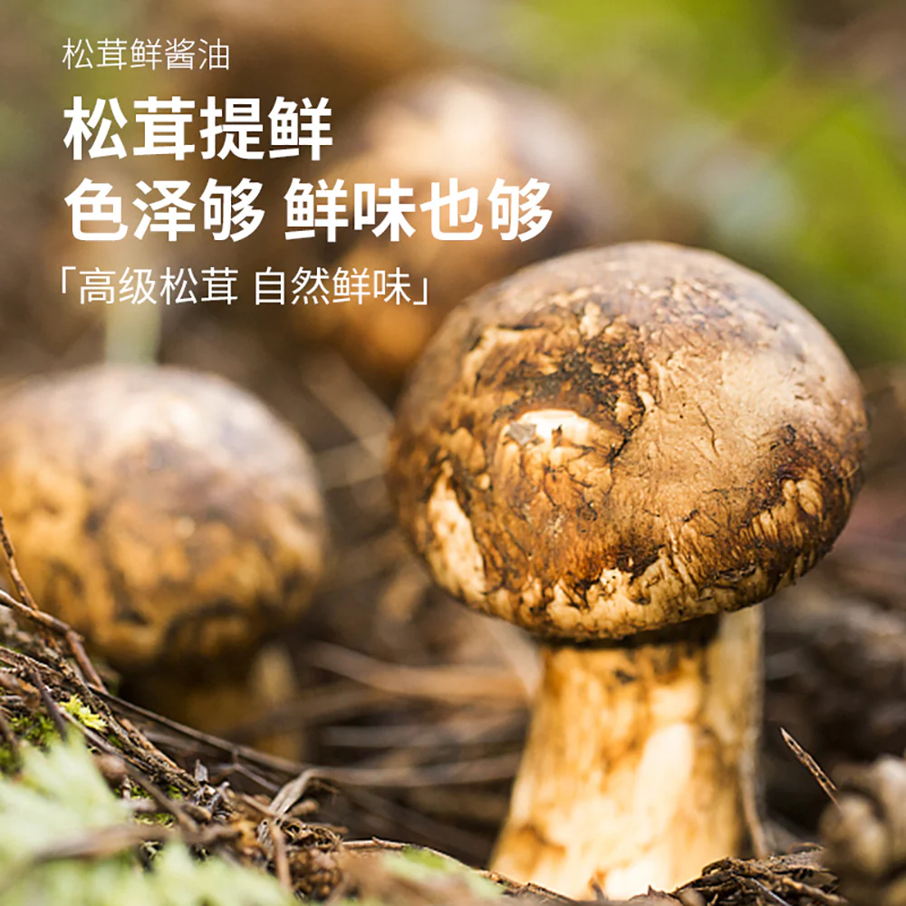 Songxianxian Matsutake Soy Sauce - 500ml - Image 3