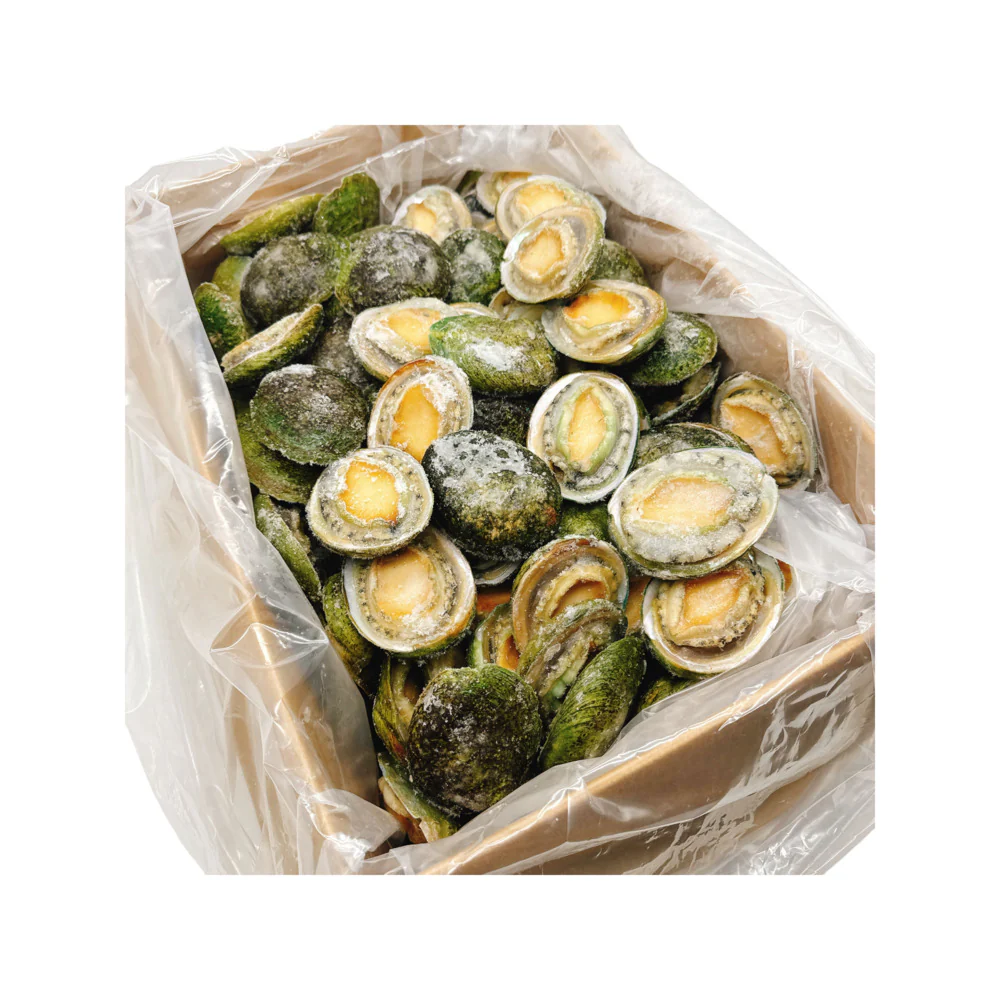 South Australian Greenlip Abalone 10-11 Pieces 900g - Image 2