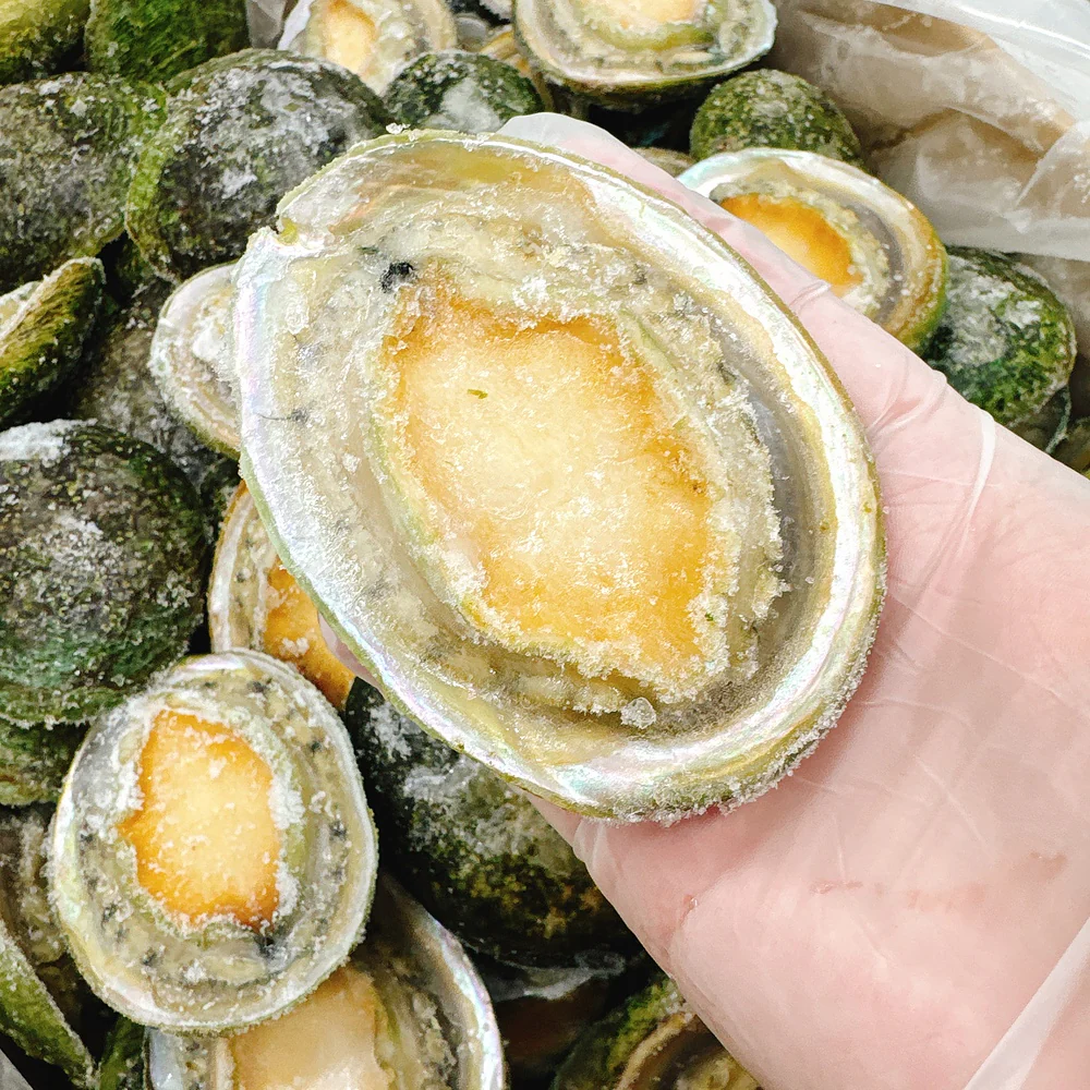 South Australian Greenlip Abalone 10-11 Pieces 900g - Image 3