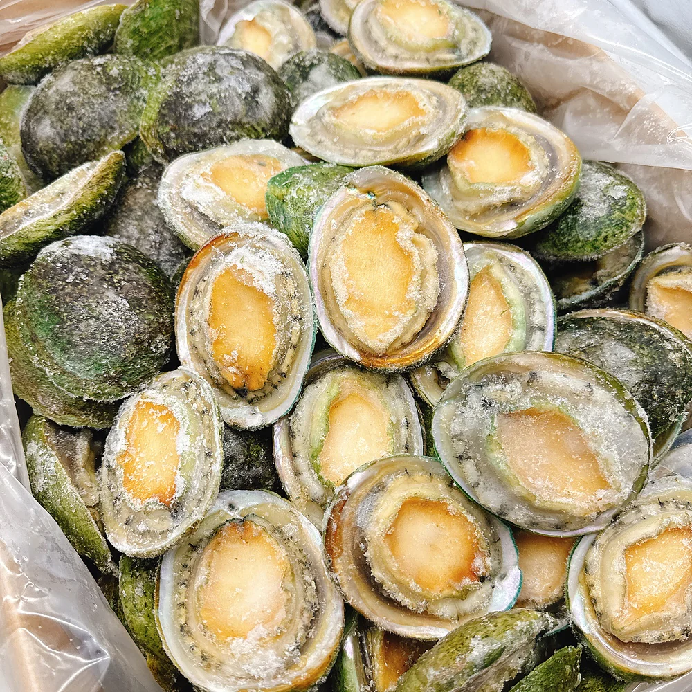 South Australian Greenlip Abalone 10-11 Pieces 900g - Image 4