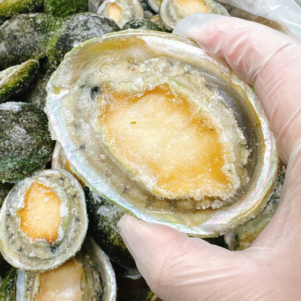 South Australian Greenlip Abalone 10-11 Pieces 900g - Image 5