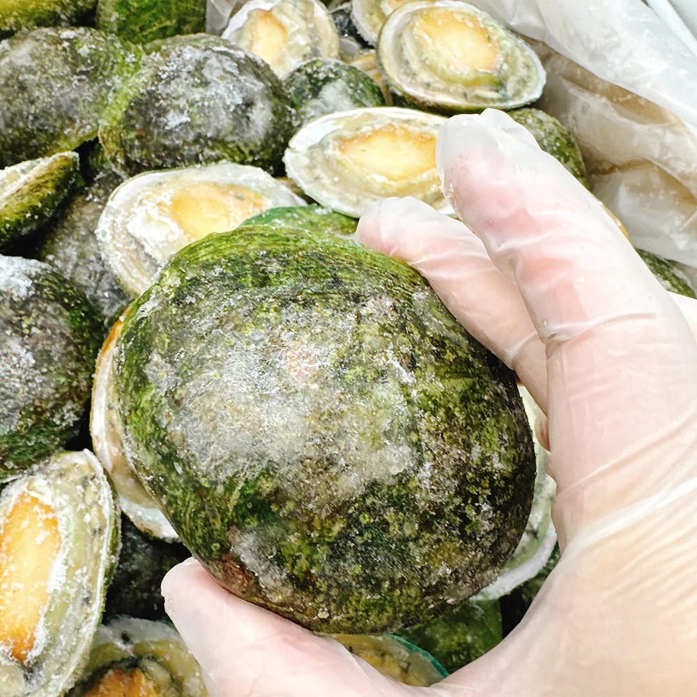 South Australian Greenlip Abalone 10-11 Pieces 900g - Image 6