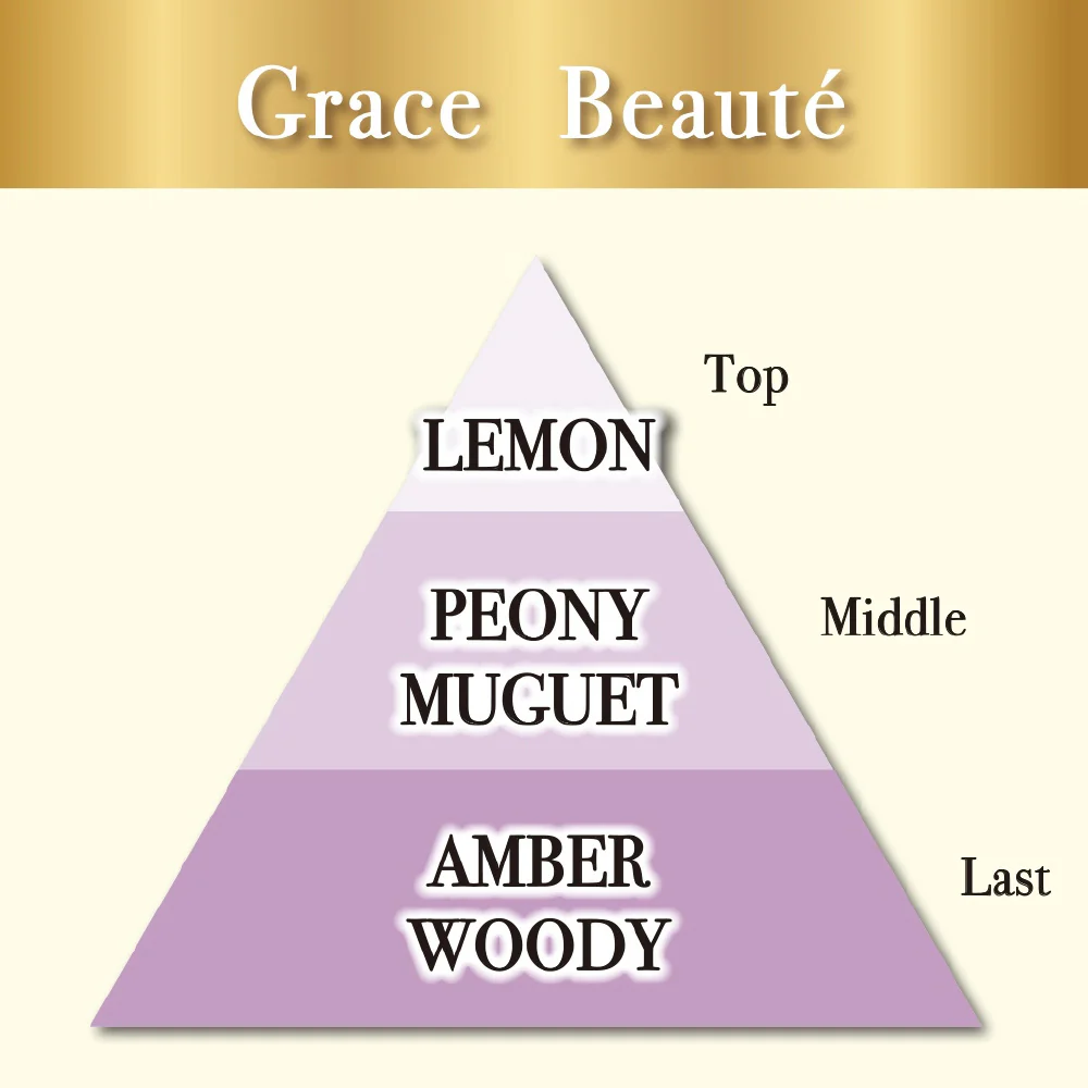 ST Premium Aroma Indoor Deodorizer - Grace Beaute Scent, 400ml - Image 3