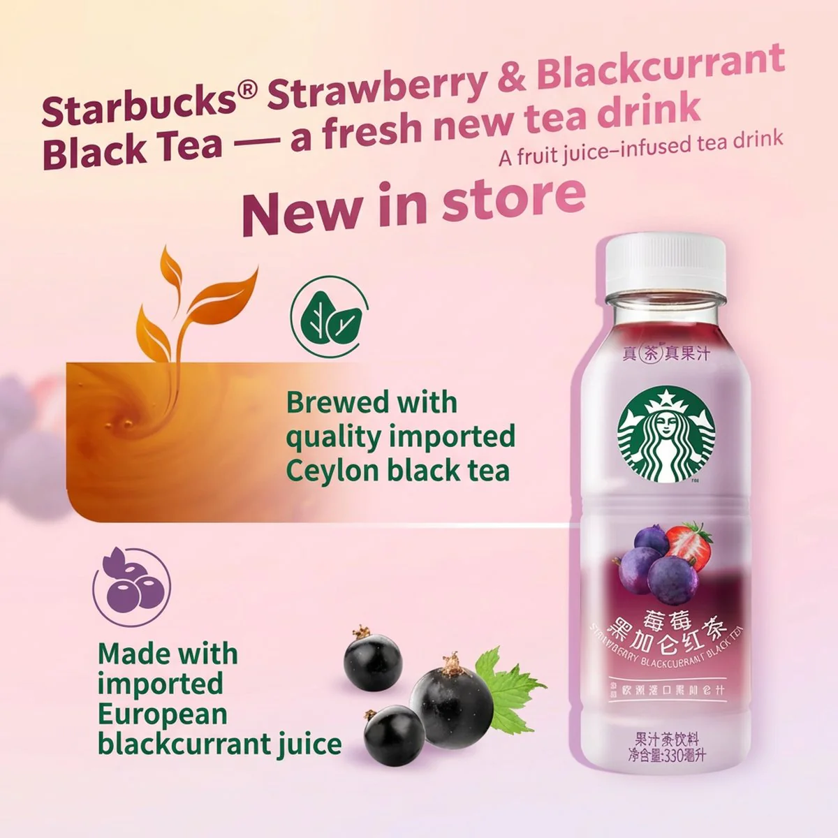 Starbucks Strawberry & Blackcurrant Black Tea (CN Label) – 330ml - Image 3
