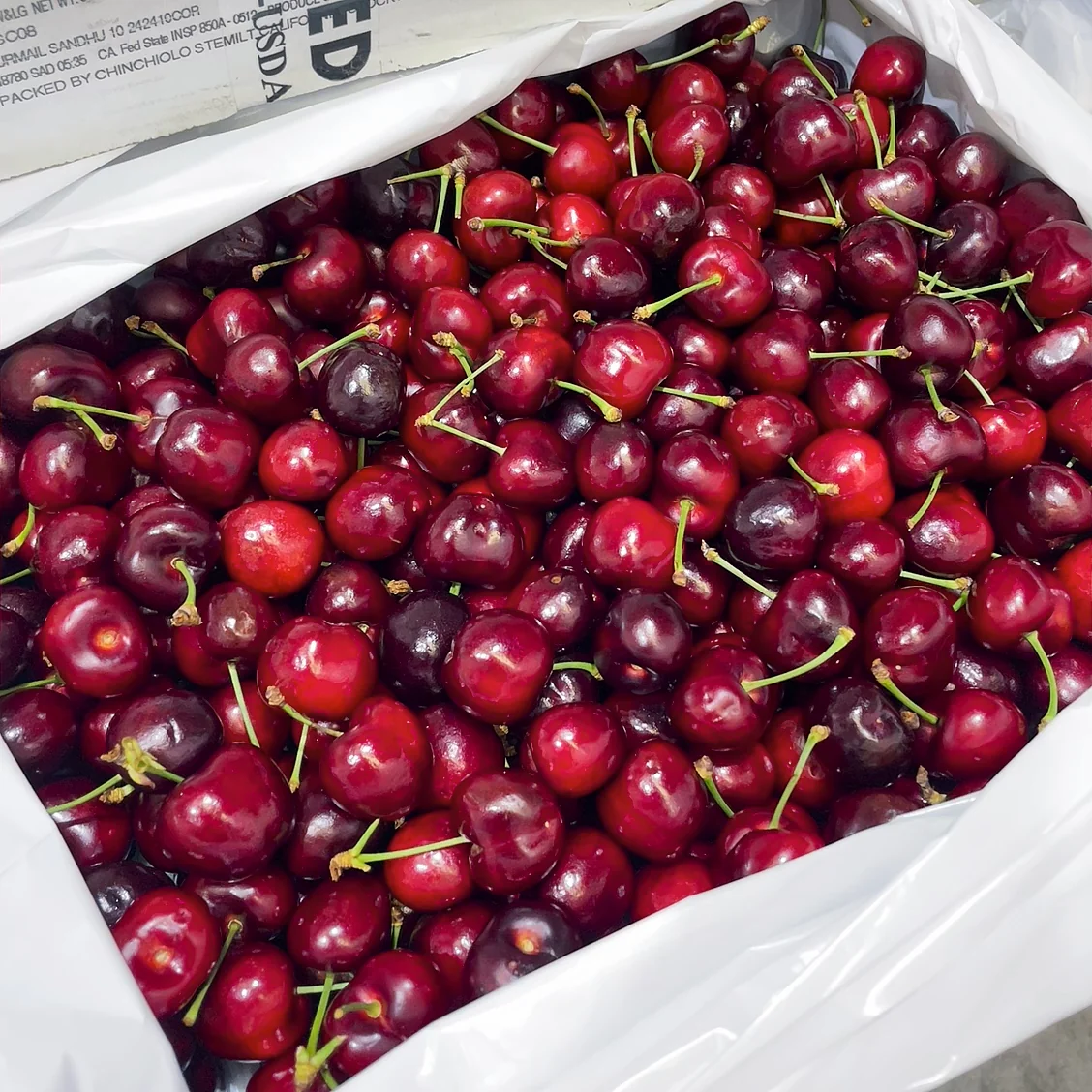 Stemilt Beetle Red Cherries - 500g - Image 2