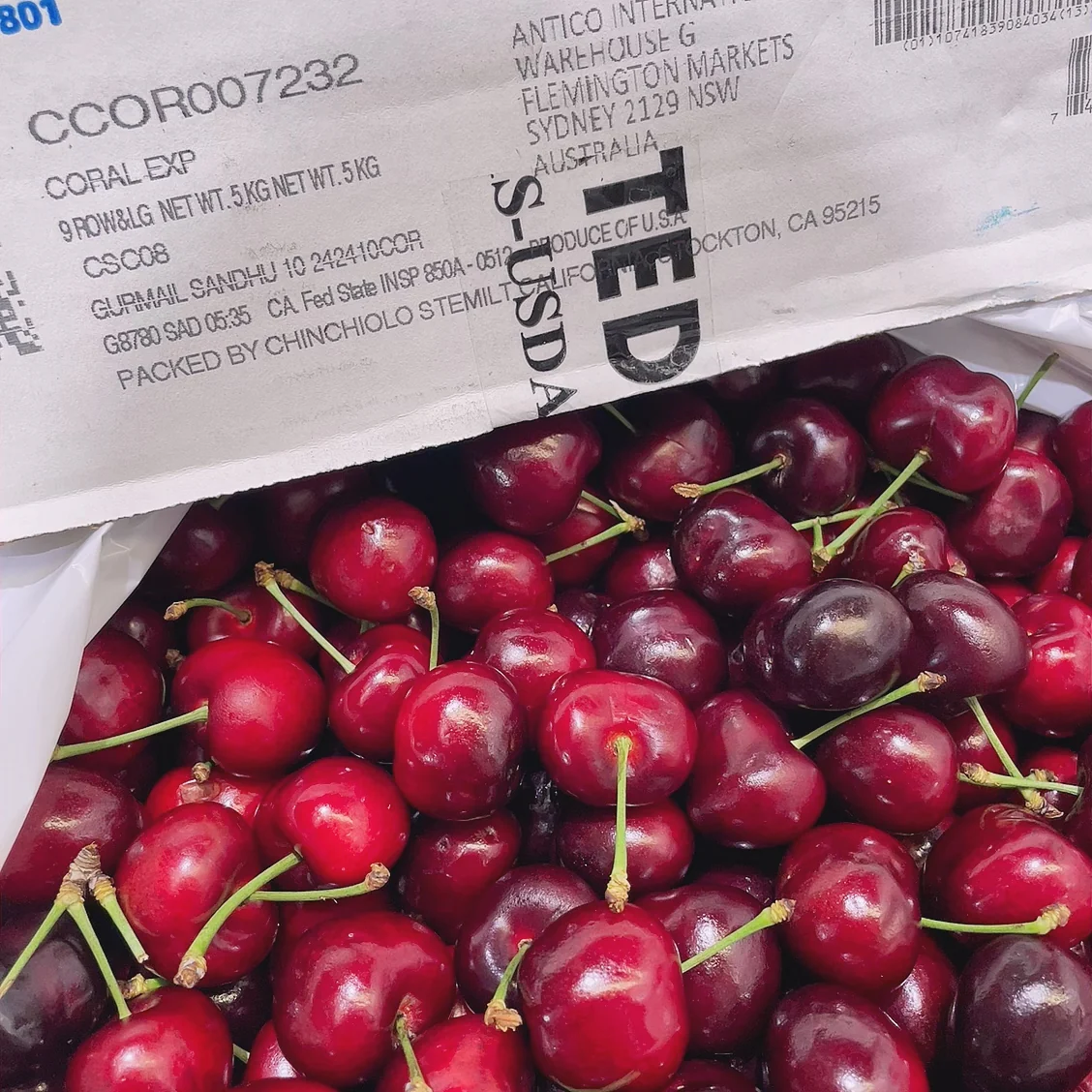 Stemilt Beetle Red Cherries - 500g - Image 3