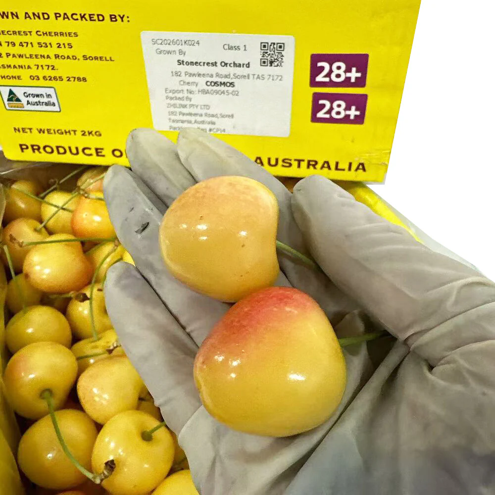 Stonecrest Tasmanian White Cherries 28mm+ Gift Box 2kg - Image 3