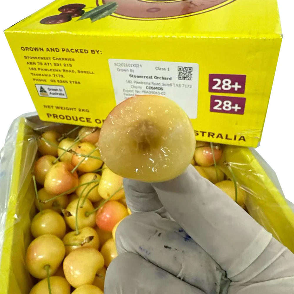 Stonecrest Tasmanian White Cherries 28mm+ Gift Box 2kg - Image 4