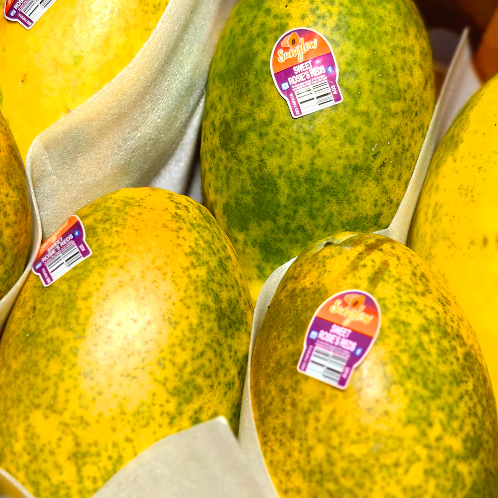 SunGlow Papayas - Box of Size 8-9 - Image 2