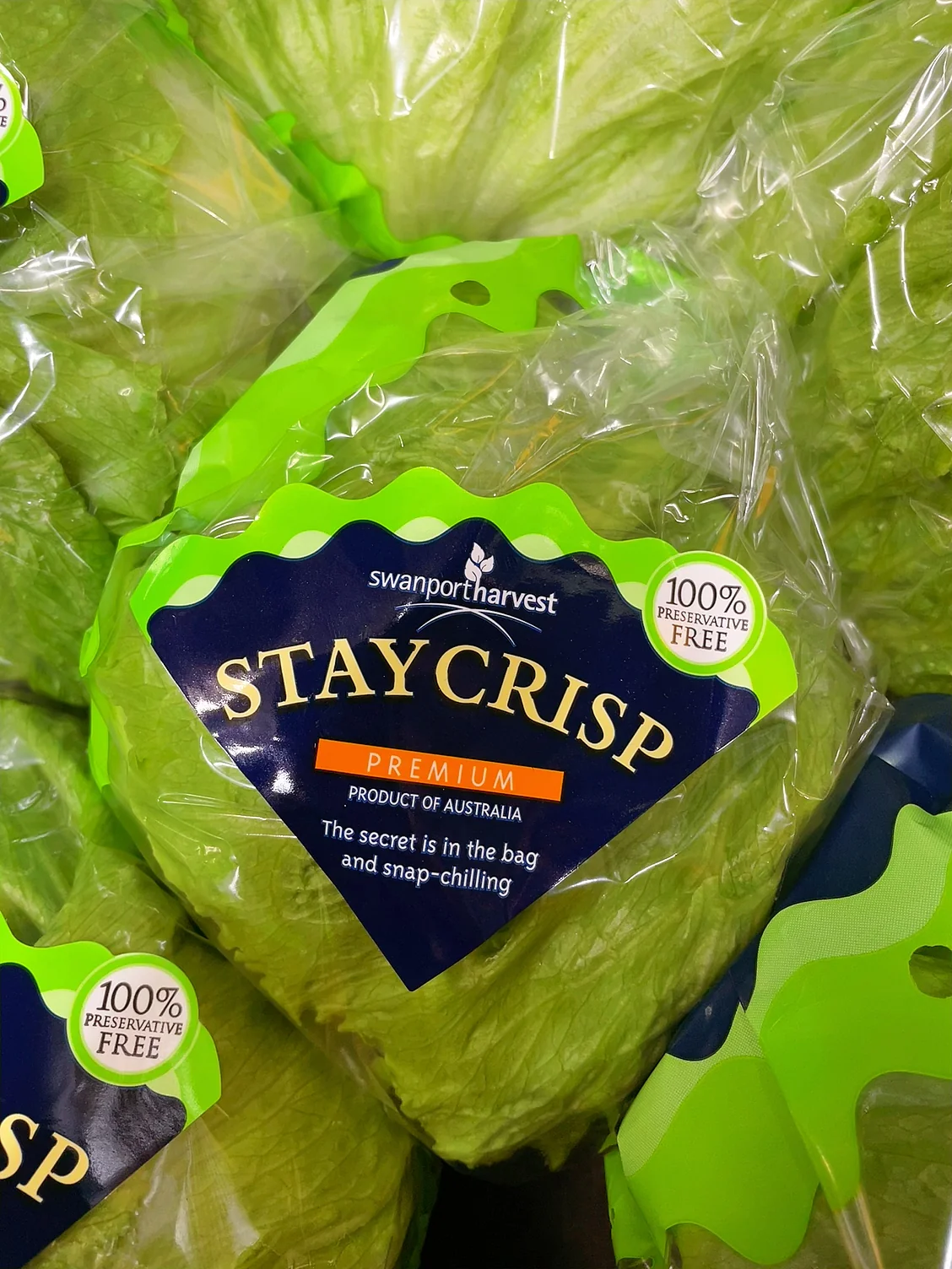 Swanport Harvest StayCrisp Premium Lettuce - 1 Piece - Image 2