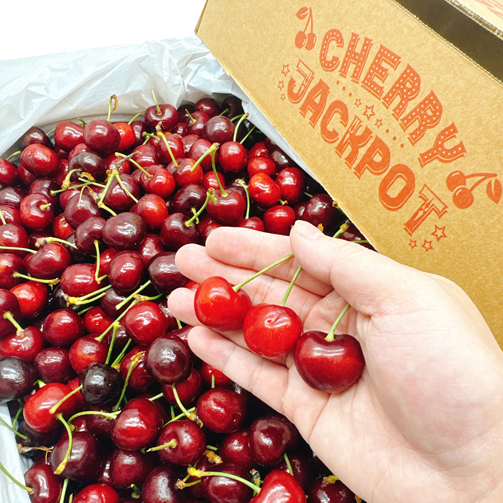 Sweet Cheeks Pure Sweet Cherries - Medium, 500g - Image 2