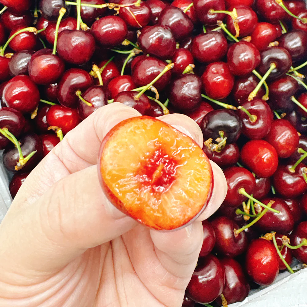 Sweet Cheeks Pure Sweet Cherries - Medium, 500g - Image 5