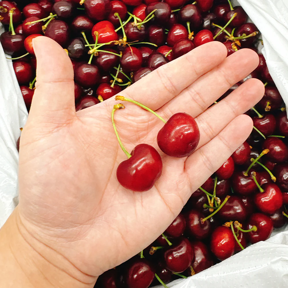 Sweet Cheeks Pure Sweet Cherries - Medium, 500g - Image 7