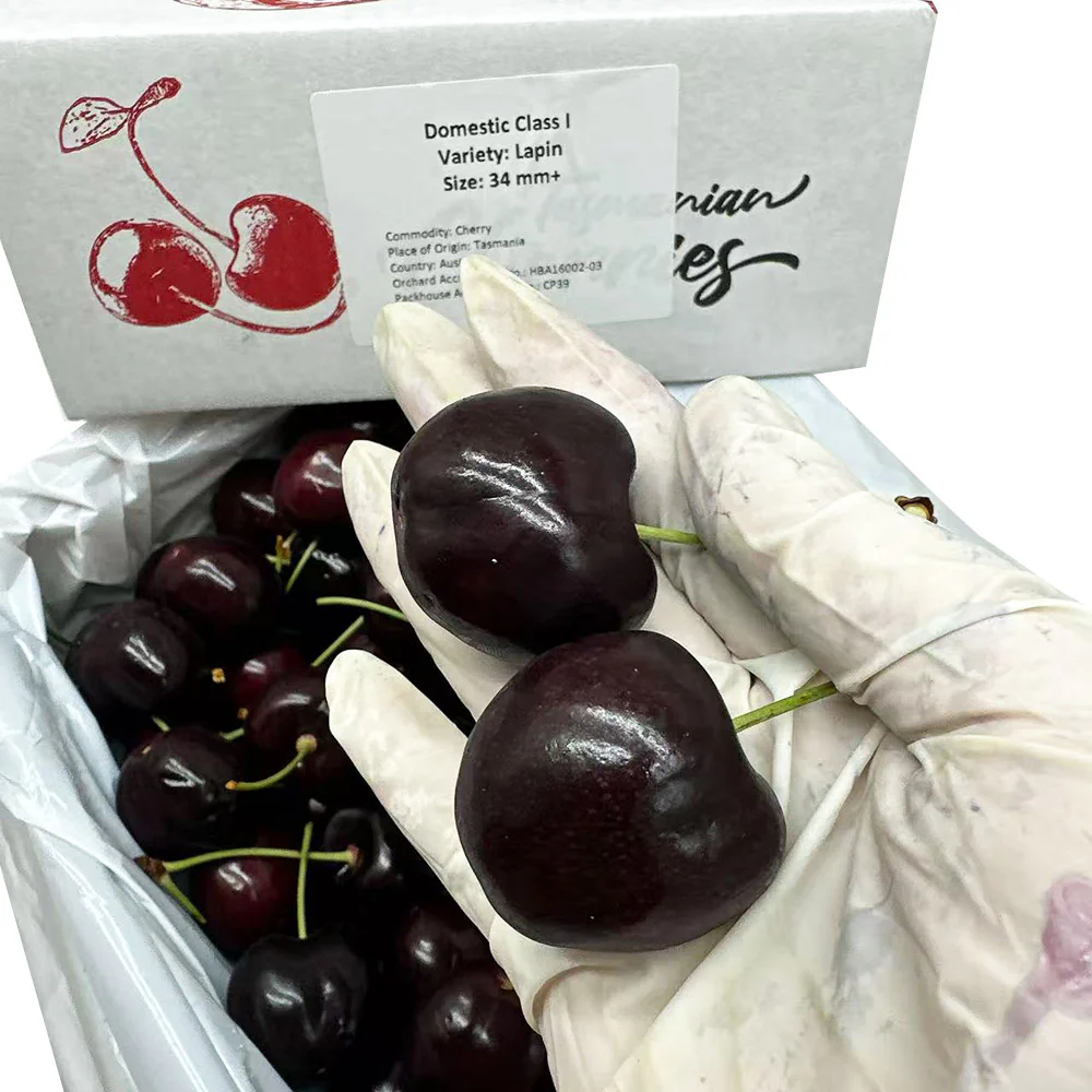 Sweetheart Bay Tasmanian Lapin Cherries Gift Box 2kg – 34–36mm - Image 3