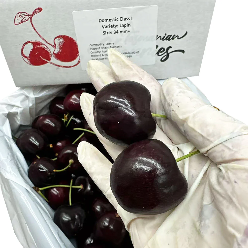 Sweetheart Bay Tasmanian Lapin Cherries Gift Box 2kg – 34–36mm - Image 6