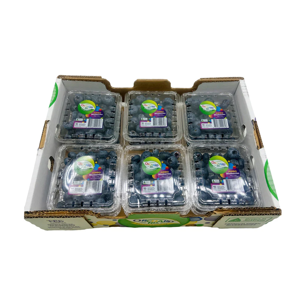 T&G Jumbo Blueberries - 125g - Image 2