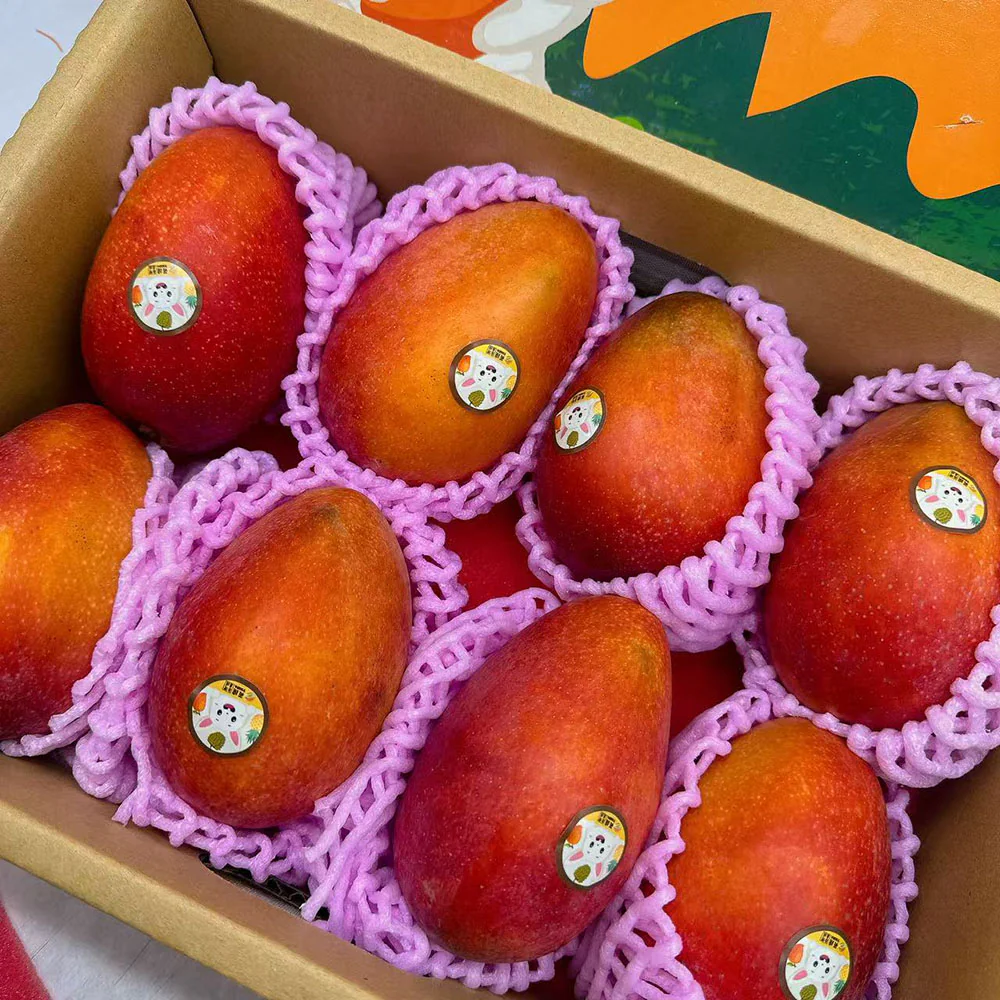 Taiwan Fruit Festival Air-Shipped Golden Pineapple & Irwin Mango Gift Set with 2 Sam’s Swiss Rolls ($10 Value) - Image 6