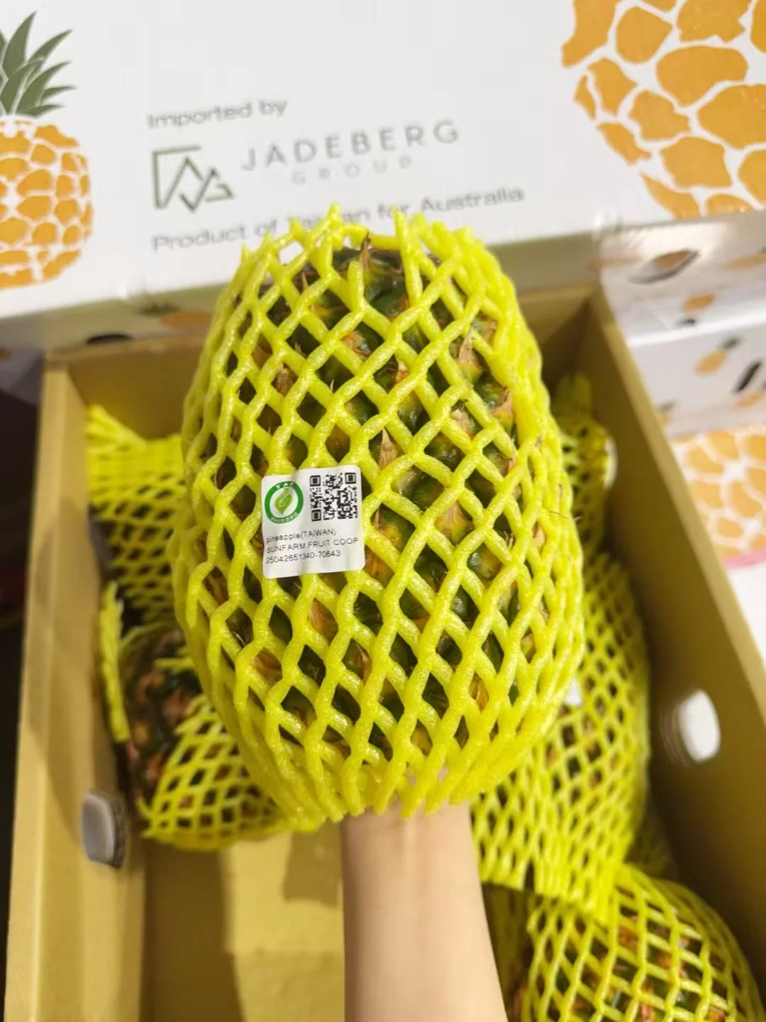 Taiwan Golden Diamond Pineapples - Box of 8 - Image 3