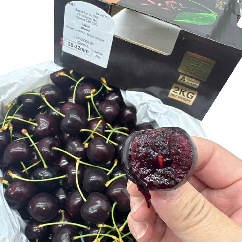 Tamar Valley Fruit Lapin Cherries Gift Box 30-32mm - 2kg - Image 2
