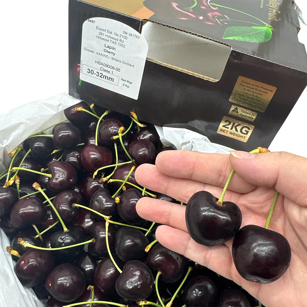 Tamar Valley Fruit Lapin Cherries Gift Box 30-32mm - 2kg - Image 3